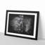 The Majestic Elephant - Picture Frame Graphic Art Print-56875899-56875902