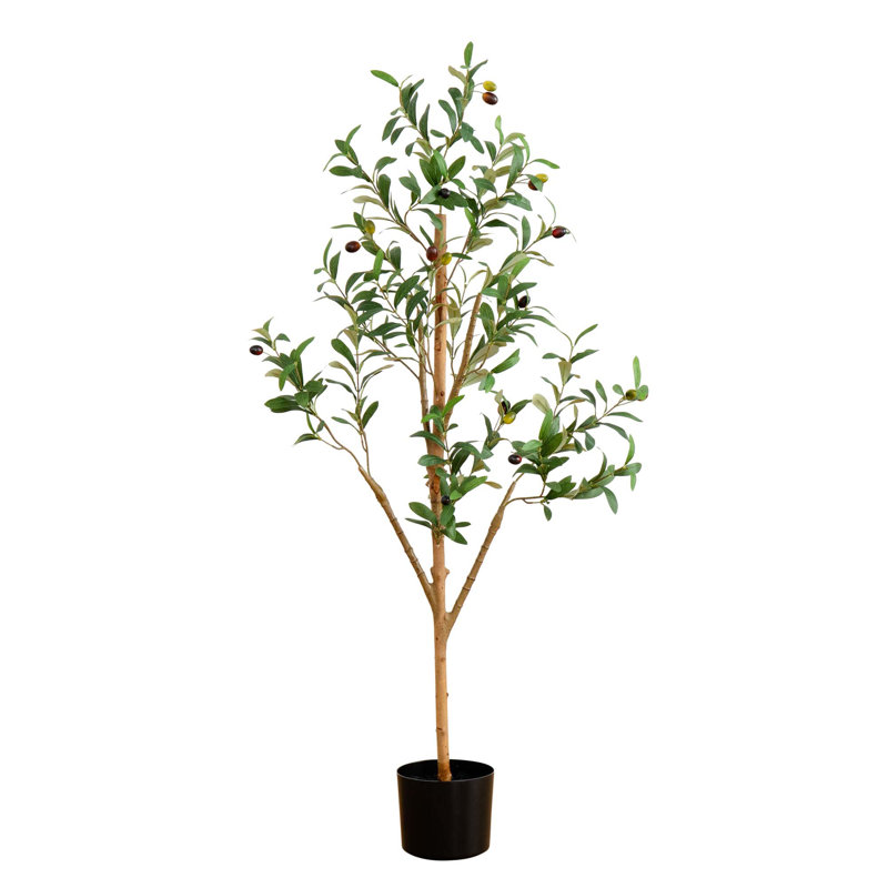 7 pi Olive artificielle avec tronc naturel, Green, 48" H x 22" W x 18" D