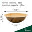Disposable Serving Tray