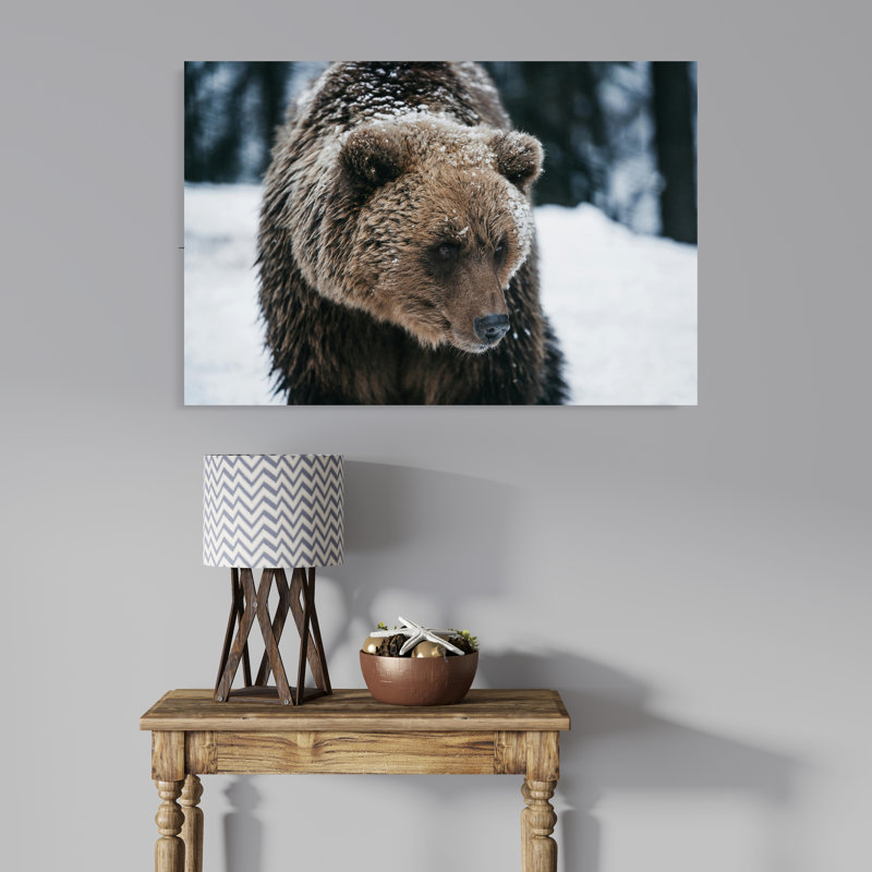 Grizzly Bear on Snow, 16" H x 24" W