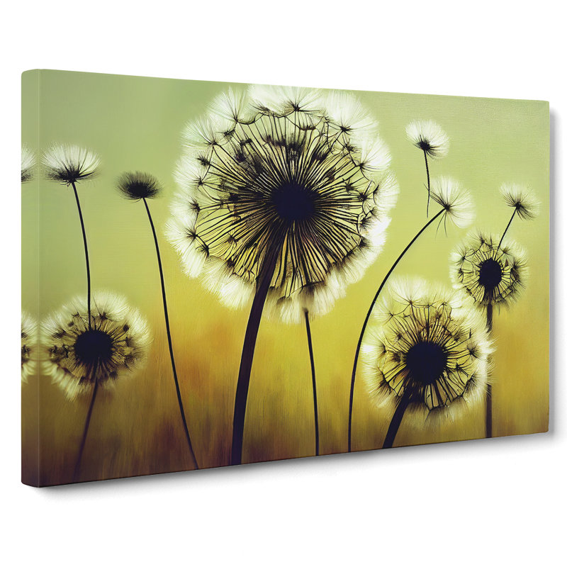 Terrific Dandelion Flowers - Wrapped Canvas Print, 35cm H x 50cm W x 3cm D