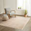  Tapis à poils longs en polyester doux-1016100832