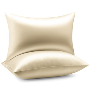 Luxury Silk 100% Mulberry Silk Pillowcase (Set of 2)