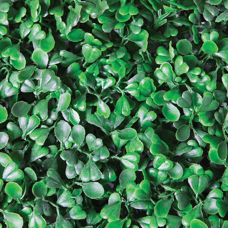 15 cm H Faux Boxwood Plant, Mahon