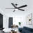 Katlain Ceiling Fan with LED Lights