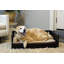 Canapé pour chien avec coussin amovible Ace-2133267724-2133267720