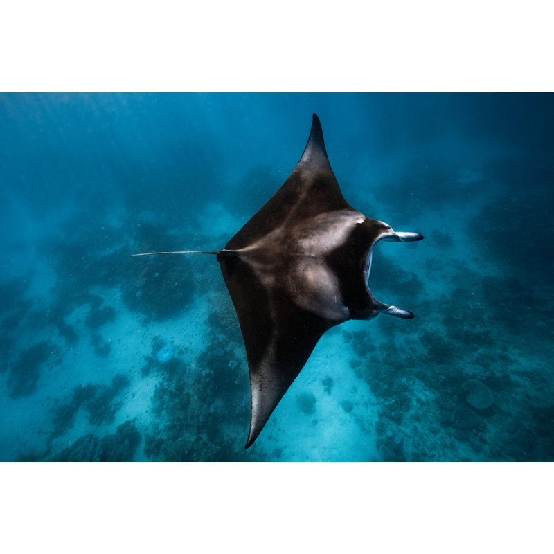 Wrapped Canvas Print, 50.8 cm H x 76.2 cm W