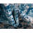 Enderson Ikat Indoor Rug-1727362477