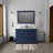 Dukes 48 in. W x 22 in. D Double Bath Vanity-74092891-112865414