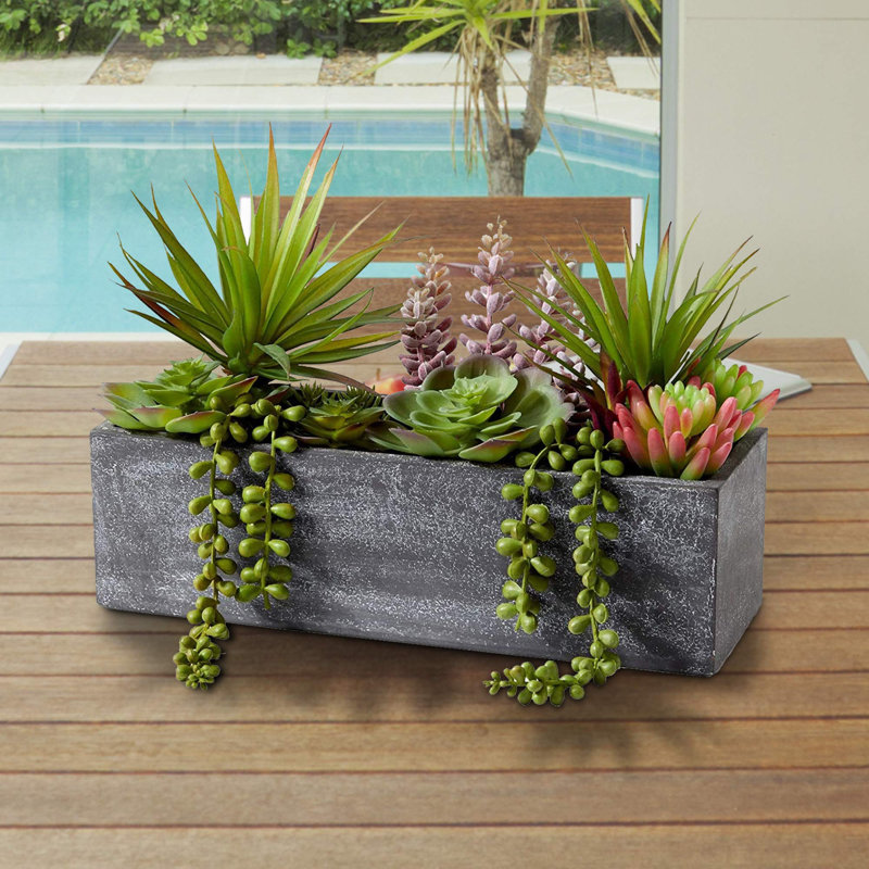 9'' Succulent Plant in Stone Planter