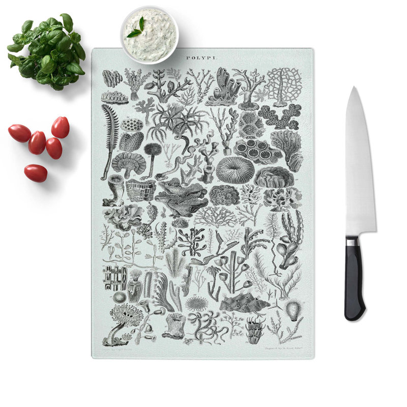 Tempered Glass Polyp Study Chopping Board, 20 cm W x 28.5 cm L