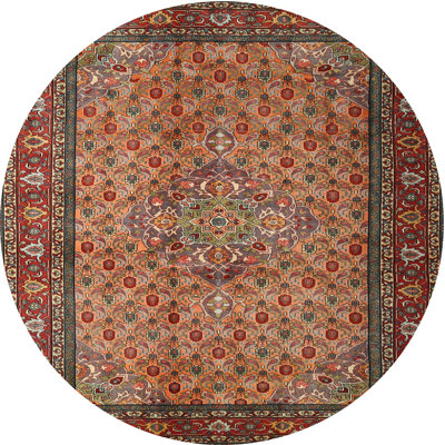Ceaser Oriental Indoor Rug