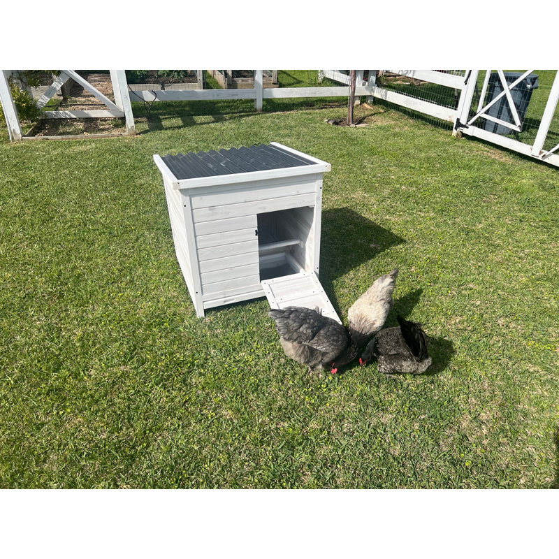 White and Black Wooden Chicken Coop with Nesting Box