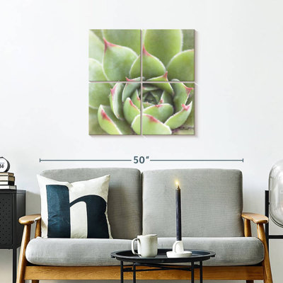 Harnek Garden Succulents III