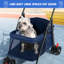 Poussette pour chat à 4 roues, poussette pliante pour animaux de compagnie, porte-gobelet pour chien avec porte-gobelet, filet respirant et visible pour petit chien-1245089465-1245089466