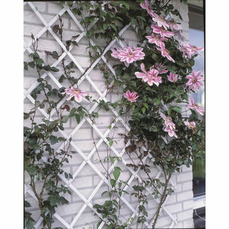 Nature Garden Trellis PVC, 200cm H x 100cm W, White