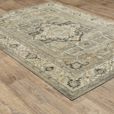 Caryll Oriental Indoor Rug