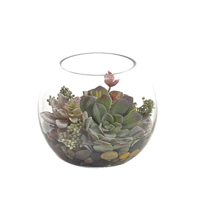 Succulent, Green Mauve, Glass Bubble,  8wx8dx6.5h