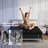 14" Queen Mattress Memory Foam Medium Firm Hybrid Mattress in a box With Certipur-us, Pocket Spring-1452558308-1452558305