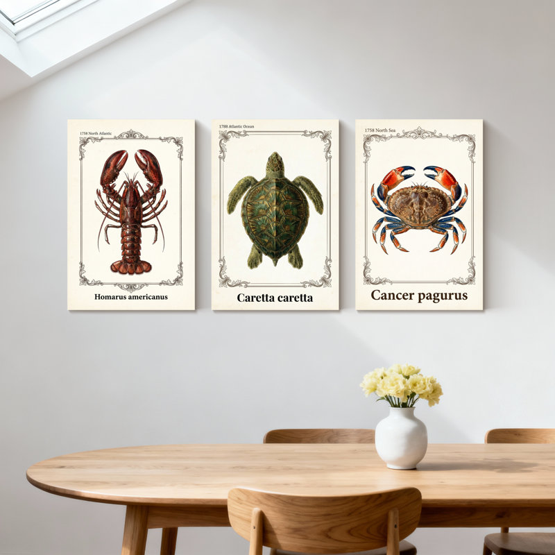 Ensemble de 3 reproductions d'art sur toile, "Lobster Turtle Crab", H 18 po x l 36 po
