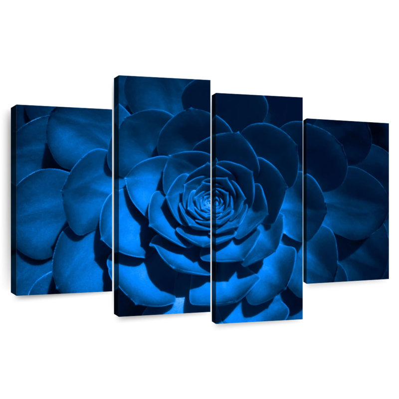 Harnek Blue Rose Succulent