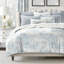 Bleuet rustique chalet bleu-101883974