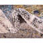 Tapis gris Keimar-26194406
