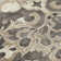 Machine Washable Indoor/Outdoor Xhevrie Chocolate Rug