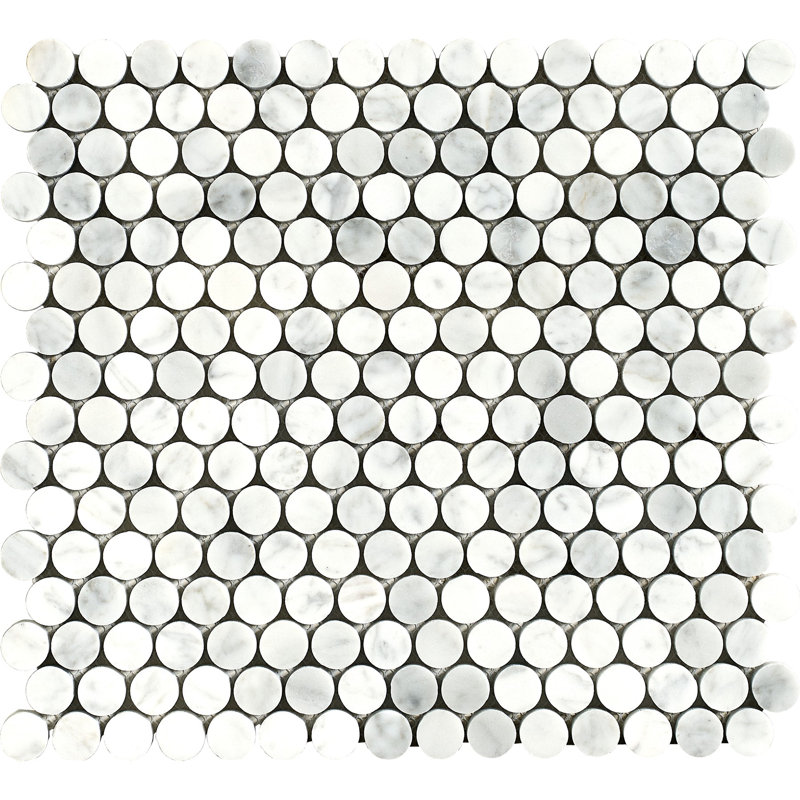 Carrara 0.75" x 0.75" Marble Penny Round Mosaic Wall & Floor Tile, White/Gray