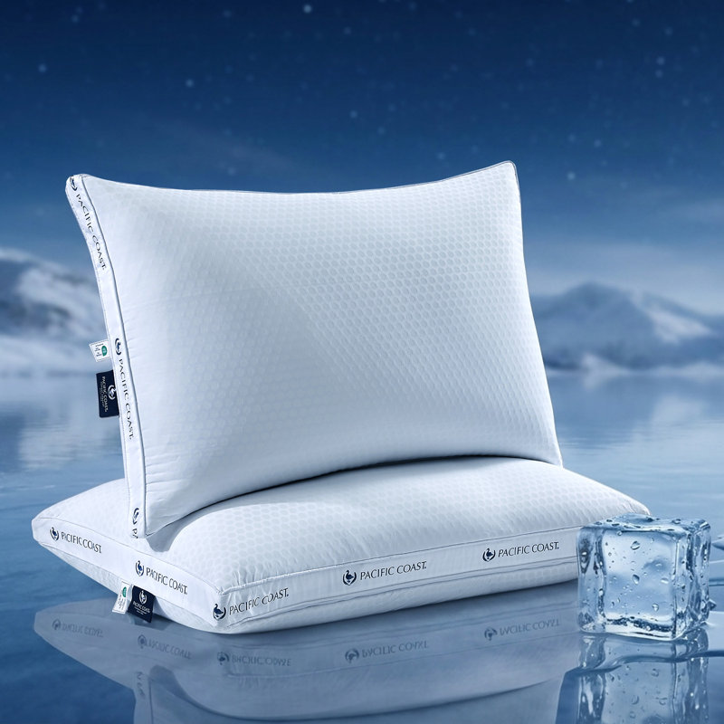 Oreiller rafraîchissant ajustable en duvet et plumes d'oie Pacific Coast, Paquet de 2, Standard