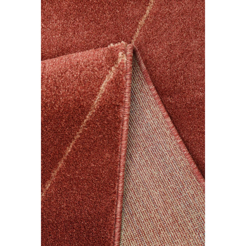 Runner Takaiyah Oriental Area Rug, Rectangle 160 x 230cm