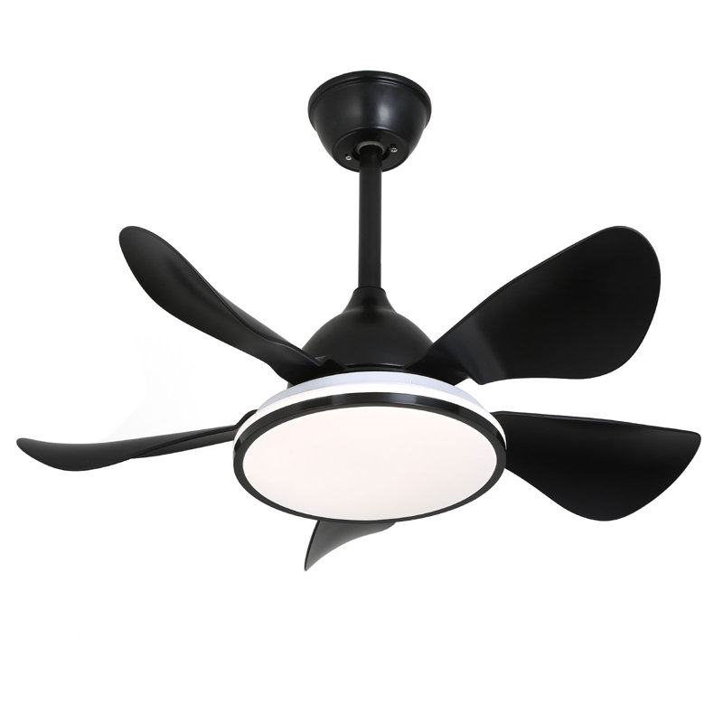 36 Inch Modern Ceiling Fan With Lights&Remote Control
