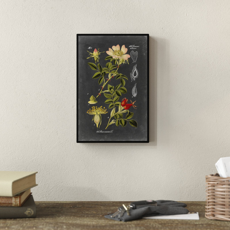 Midnight Botanical I by Vision Studio - Print, 30cm H x 20cm W, Wrapped Canvas