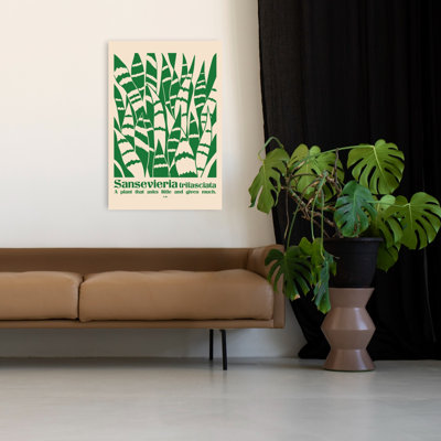 Art mural tropical naturel luxuriant, Sansevieria