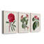 Ensemble de 3 peintures sur toile Roseat Blooms IV-1642987165-1642987162