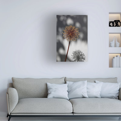 Bolog Pictufy Studio Withered Flower, Seed House 1 Canvas Art