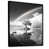 Black Floater Framed