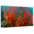 Fire Coral-107499614