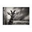 Art sur toile bolologien, Rolf Lampert-105650201