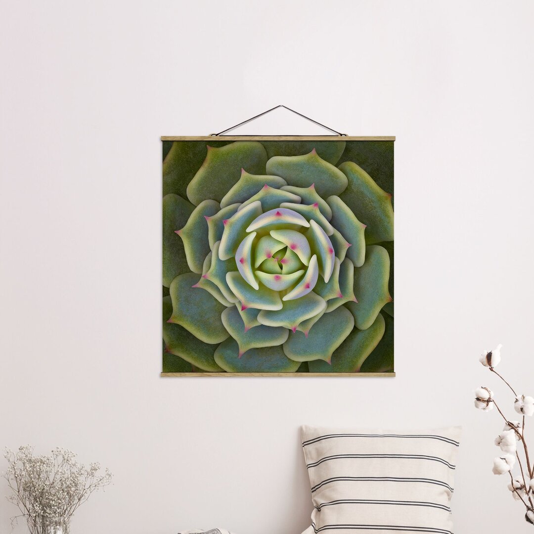 Stoffbild Succulent Echeveria Ben Badis