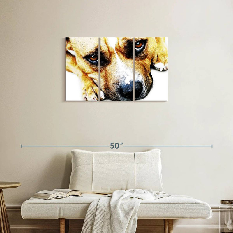 Bull-terrier de Brampt aux yeux, H 20 po x l 33 po