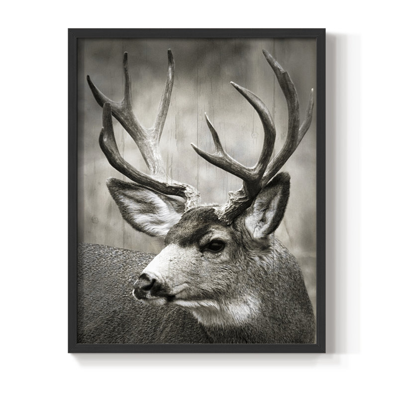 Focused Buck Framed Print - Solid Wood, Black, 30" H x 24" W