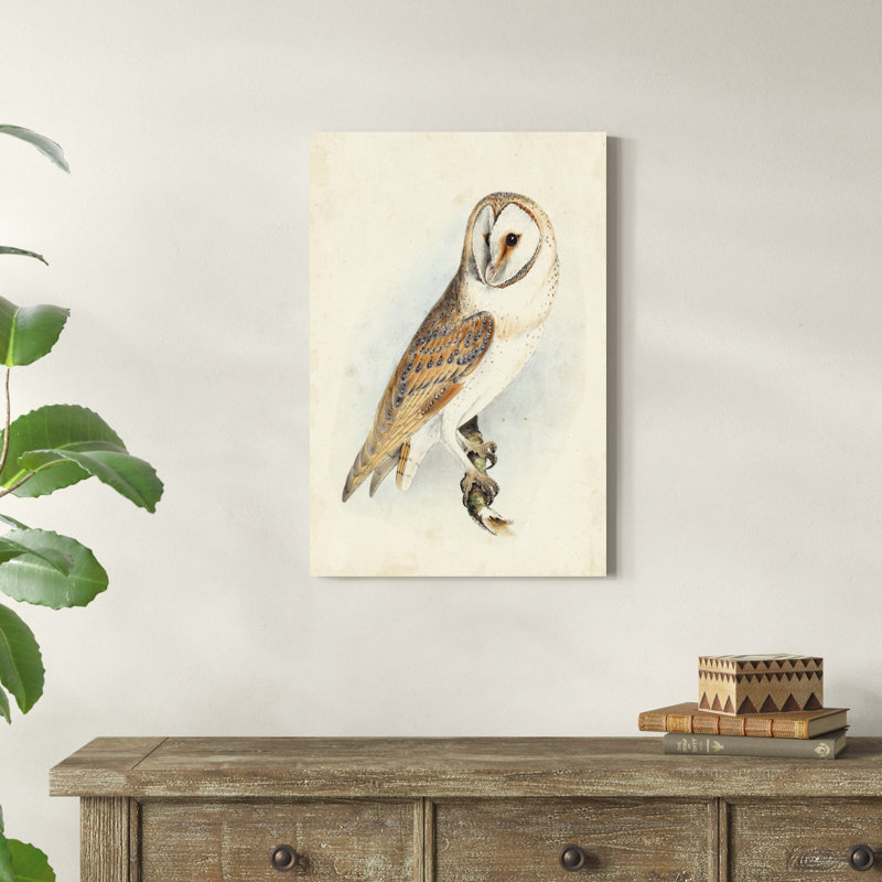 Meyer Barn Owl, H 30 po x l 20 po x P 1,25 po