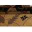 Tapis népalais en laine noué à la main 9 x 12