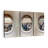 " Airplane Windows " 3 - Pieces-92763797