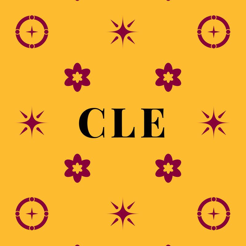 Oreiller Cleveland Basketball , Or, vin noir, couleurs de basketball de Cleveland, 46 pouces x 39,41 pouces