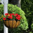 Set of 5 - Delania Coconut Hanging Basket 14-Inch-469292996