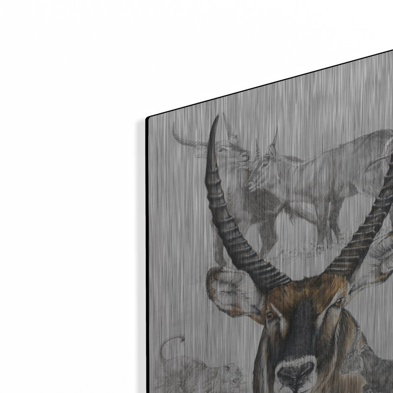 «Waterbuck» par Barbara Keith, H 16 po x l 12 po