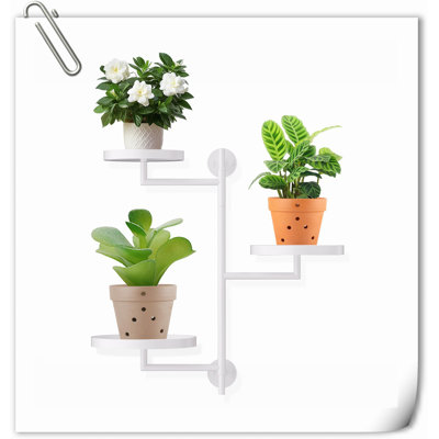 Tablettes pivotantes pour plantes d'intérieur