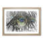 Peacock Feathers in Abstract - Picture Frame Graphic Art Print-55739231-55739232